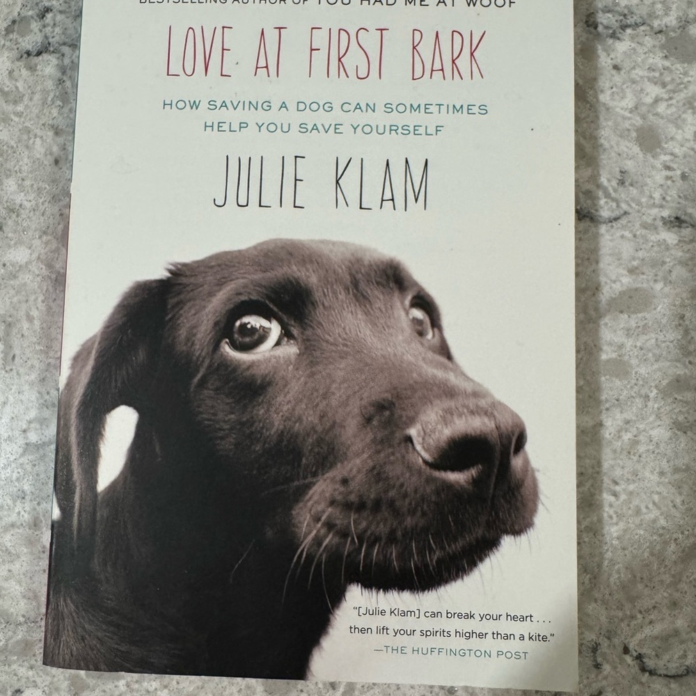 White and Brown Dog with Gentle Expression and Dark Nose
